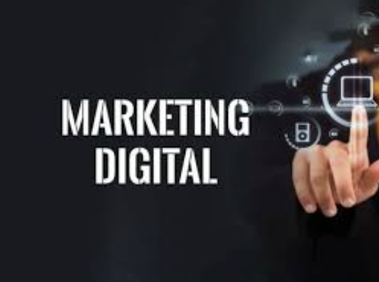 Marketing Digital ORGANICO